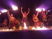 Chief's Luau Chief